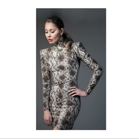 Nathalia Gaviria Python Dress Taylor Swift Reputation  Eras Tour Outfit Snake - Picture 1 of 8